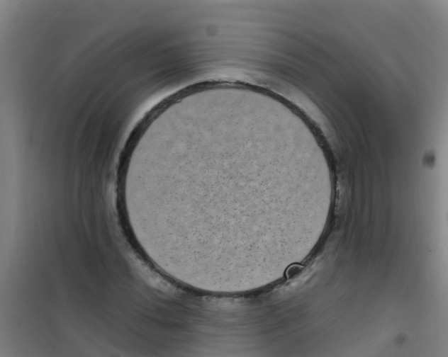 X0000100421020200807032056