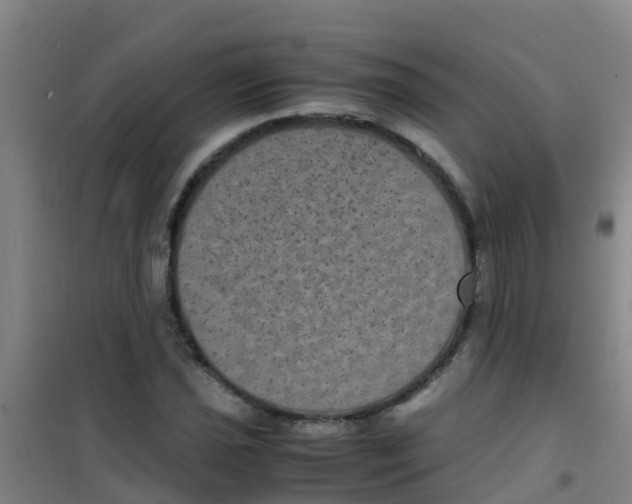 X0000100421021200807032056