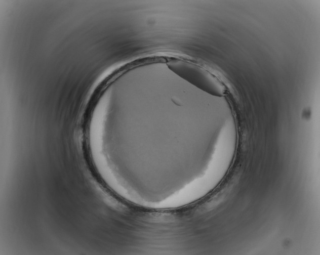 X0000100421024200807032056