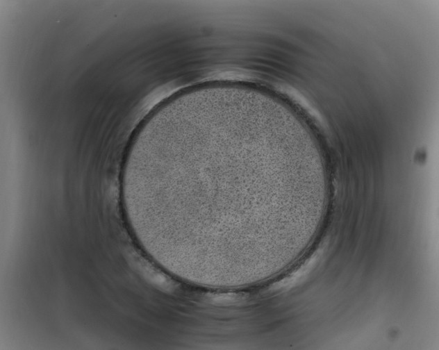 X0000100421025200807032056