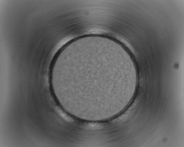 X0000100421026200807032056