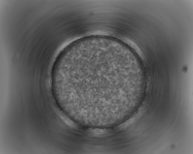 X0000100421027200807032056