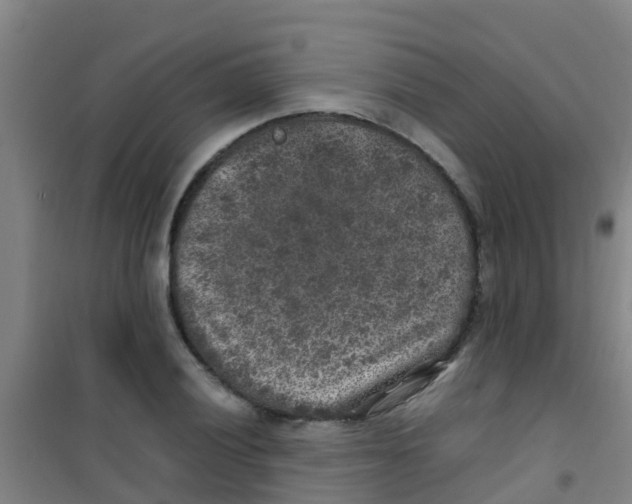 X0000100421028200807032056