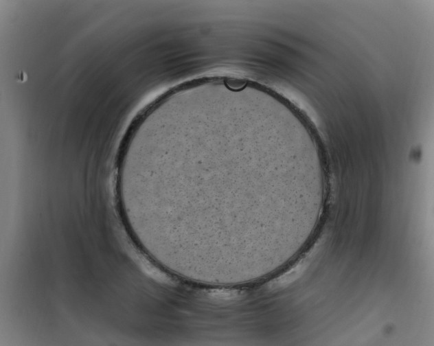 X0000100421029200807032056