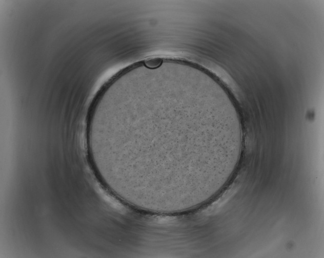 X0000100421030200807032056