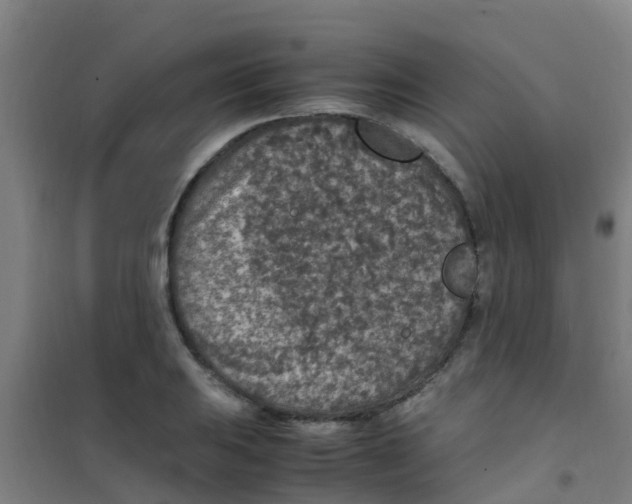 X0000100421031200807032056