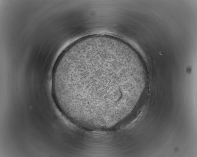 X0000100421032200807032056