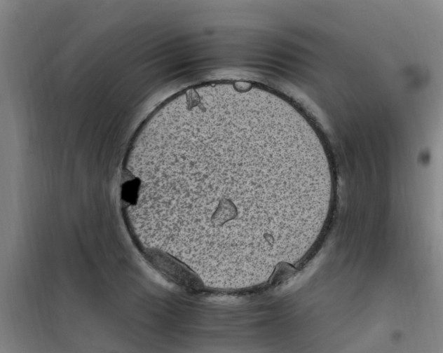 X0000100421033200807032056