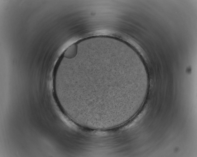 X0000100421034200807032056