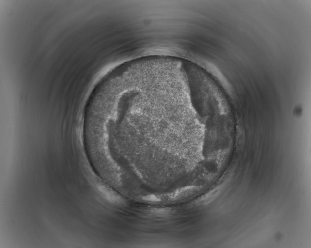 X0000100421035200807032056