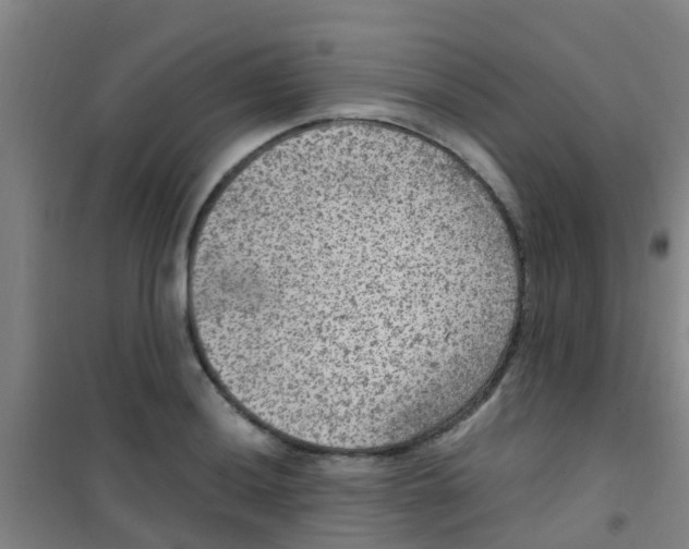 X0000100421036200807032056