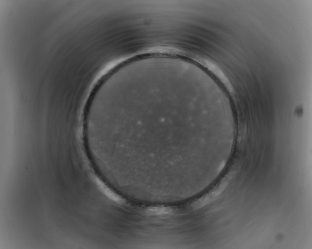 X0000100421037200807032056