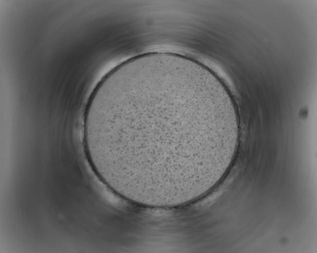 X0000100421040200807032056