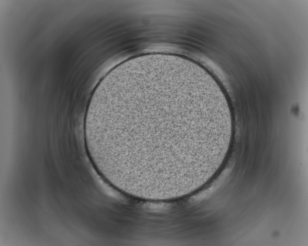 X0000100421041200807032056