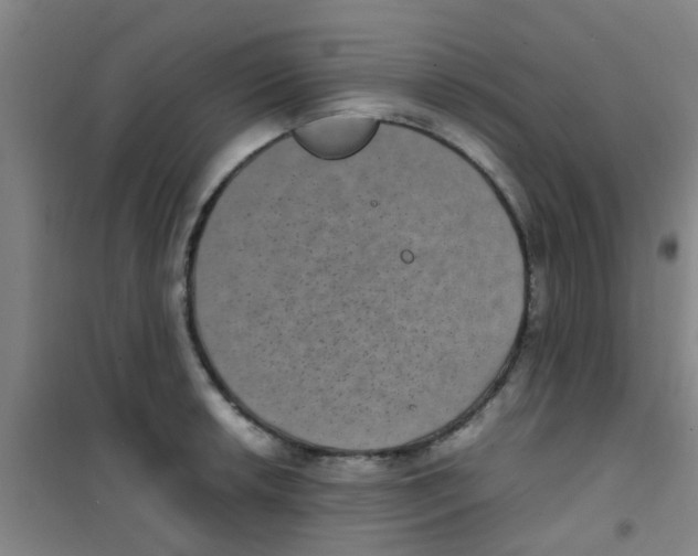 X0000100421042200807032056