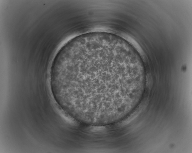 X0000100421043200807032056