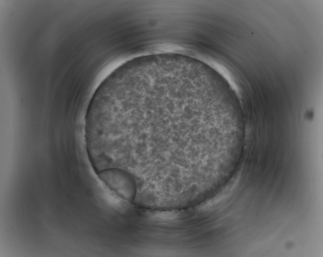 X0000100421047200807032056