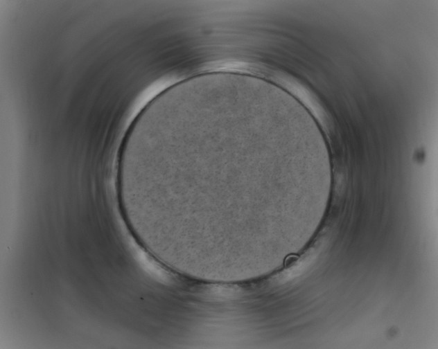 X0000100421050200807032056