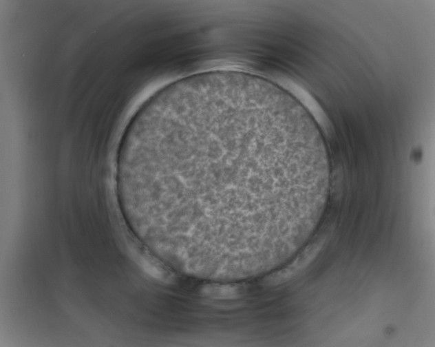 X0000100421051200807032056