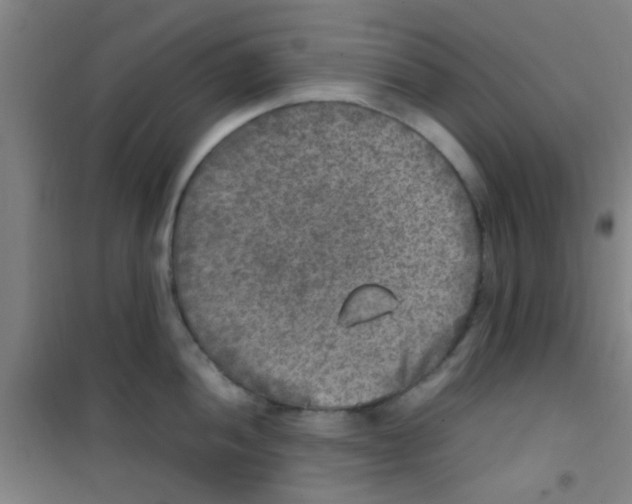 X0000100421052200807032056