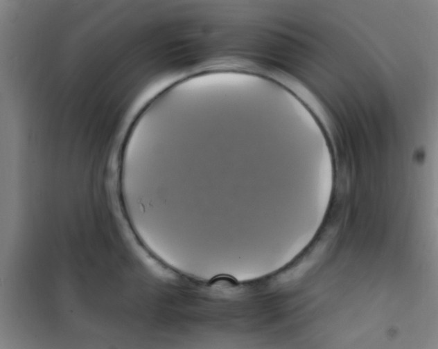 X0000100421053200807032056