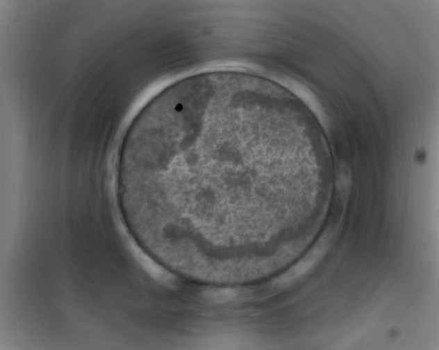 X0000100421054200807032056