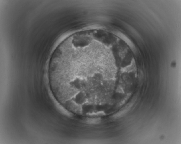 X0000100421055200807032056