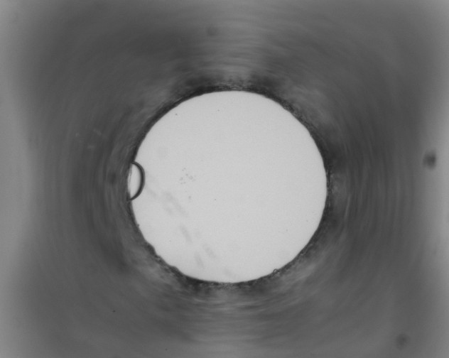 X0000100421057200807032056