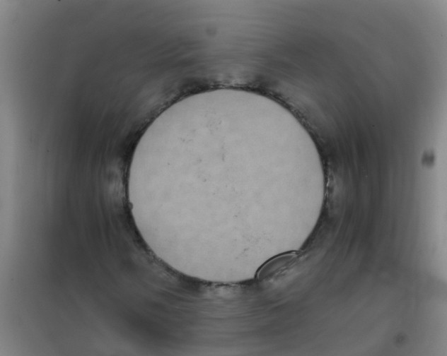 X0000100421058200807032056