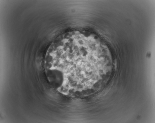 X0000100421059200807032056