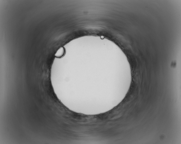 X0000100421061200807032056