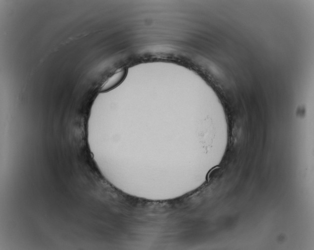 X0000100421062200807032056