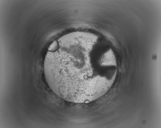 X0000100421063200807032056