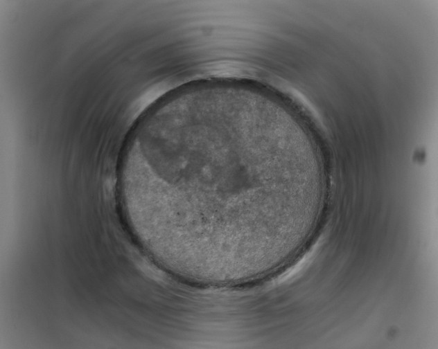 X0000100421065200807032056