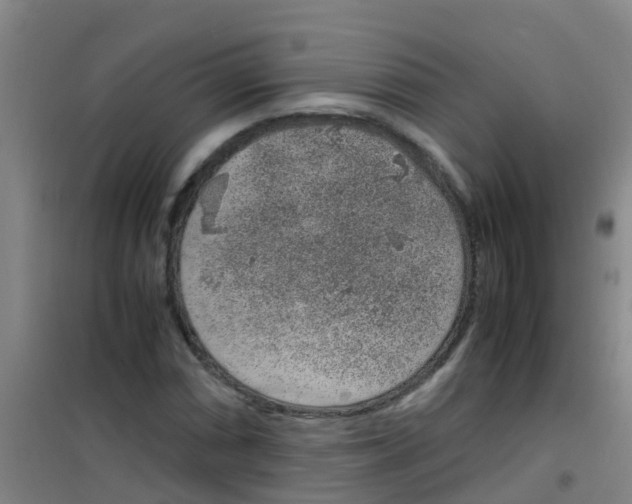 X0000100421066200807032056