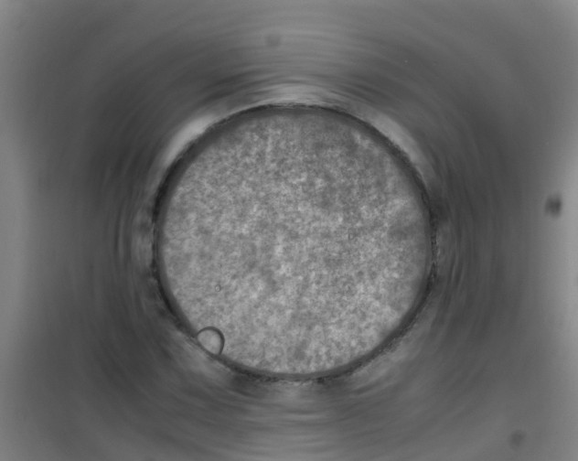 X0000100421067200807032056