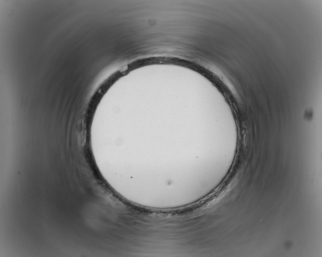 X0000100421069200807032056