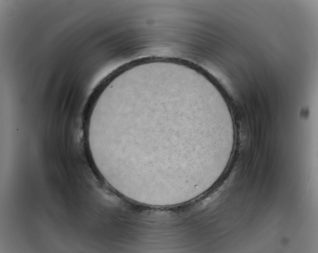 X0000100421070200807032056