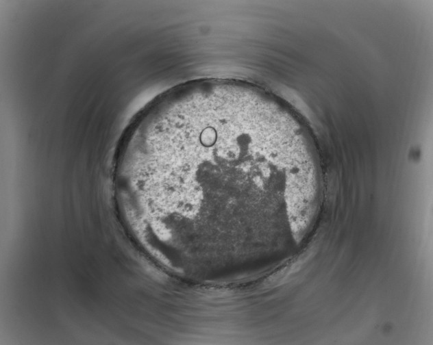 X0000100421071200807032056