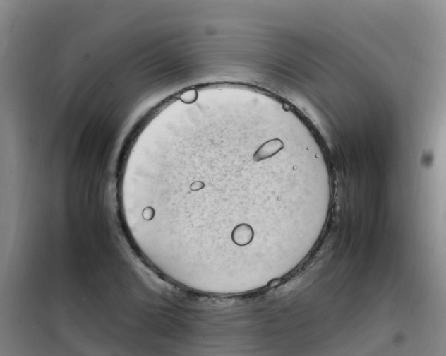 X0000100421072200807032056