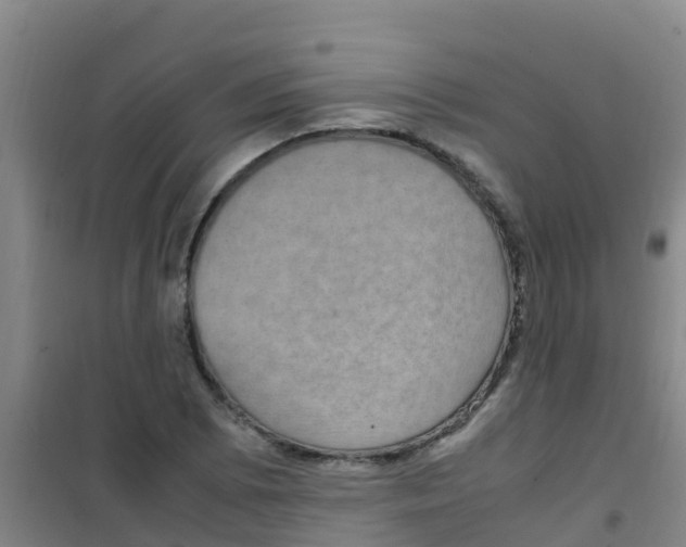 X0000100421073200807032056