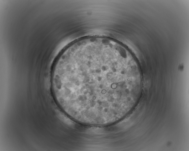 X0000100421075200807032056