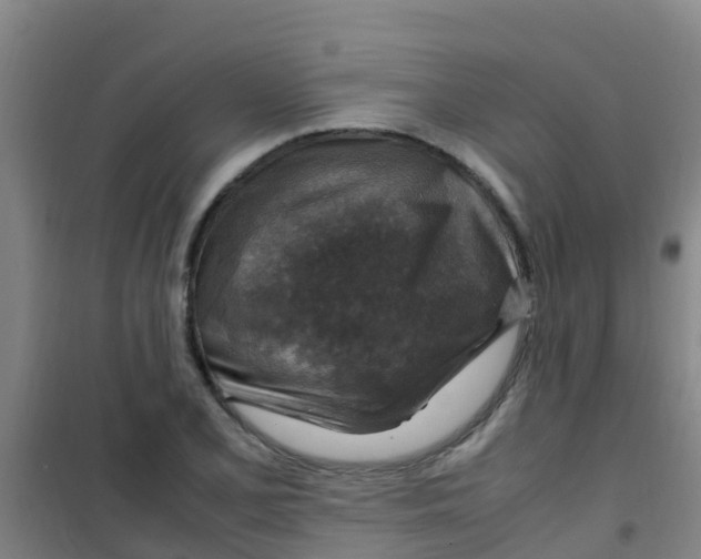 X0000100421077200807032056