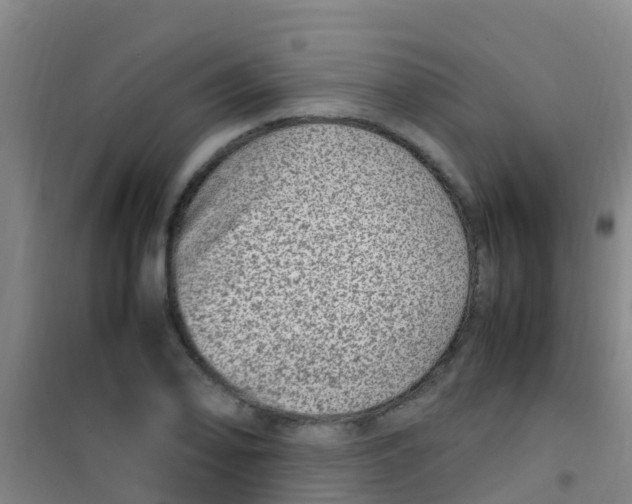 X0000100421078200807032056