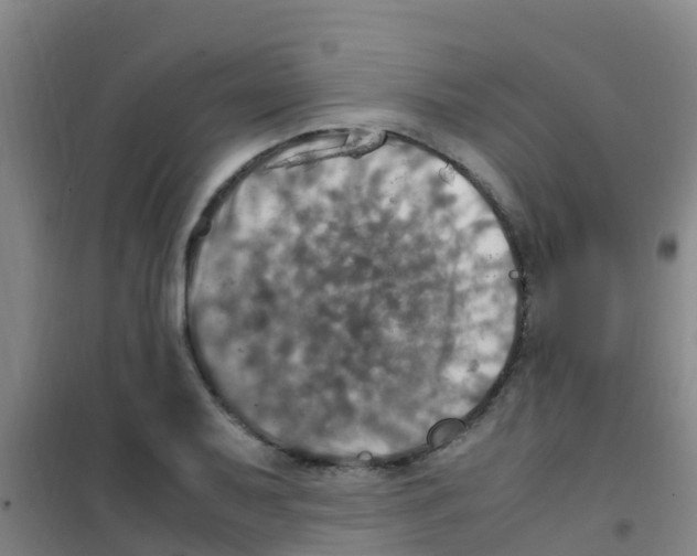 X0000100421079200807032056