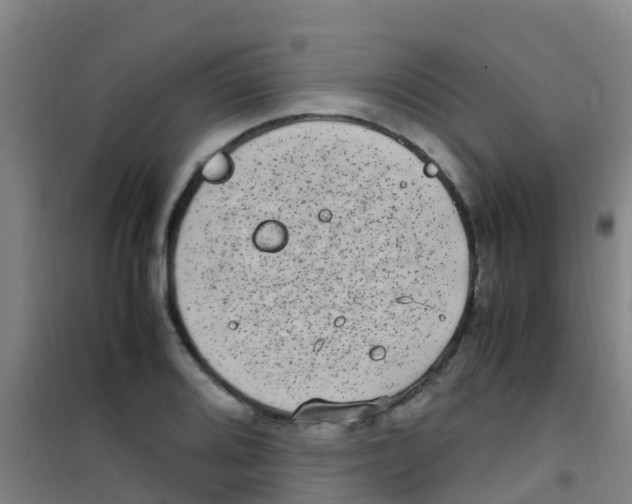 X0000100421080200807032056