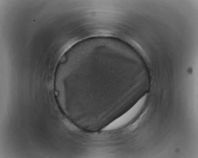 X0000100421081200807032056