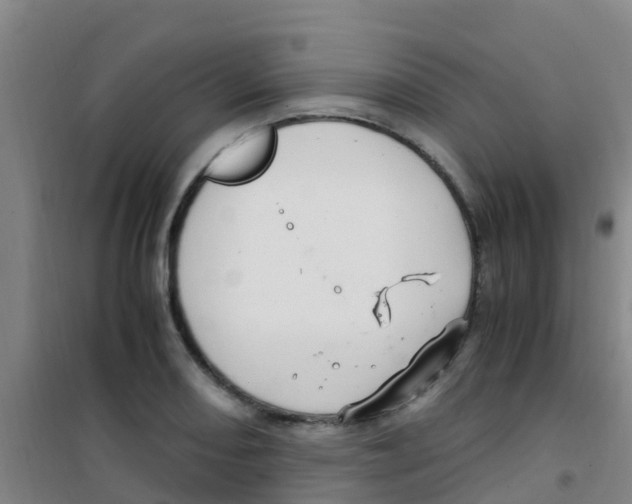 X0000100421082200807032055