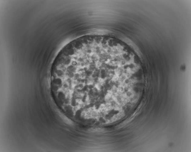 X0000100421083200807032055