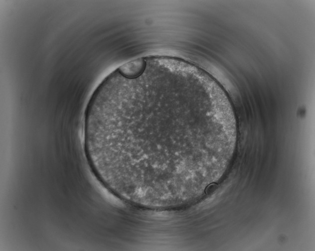 X0000100421084200807032055